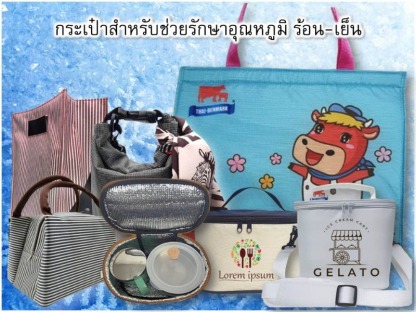 กระเสำหรับช่วยรักษาอุณหภูมิ ร้อน-เย็น - โรงงานผู้ผลิตกระเป๋า - Baggu is Kaban 